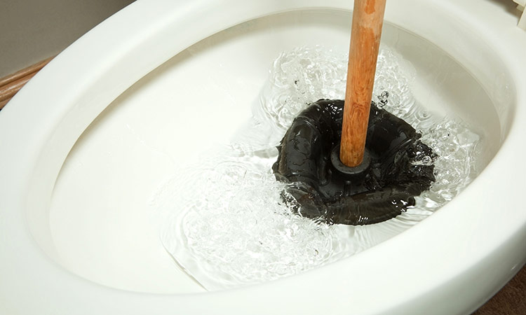 Plunger Being Used on Toilet